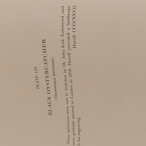 Black Oystercatcher Plate 178, Scarlet Ibis Plate 179. John James Audubon prints - Picture 2 of 6